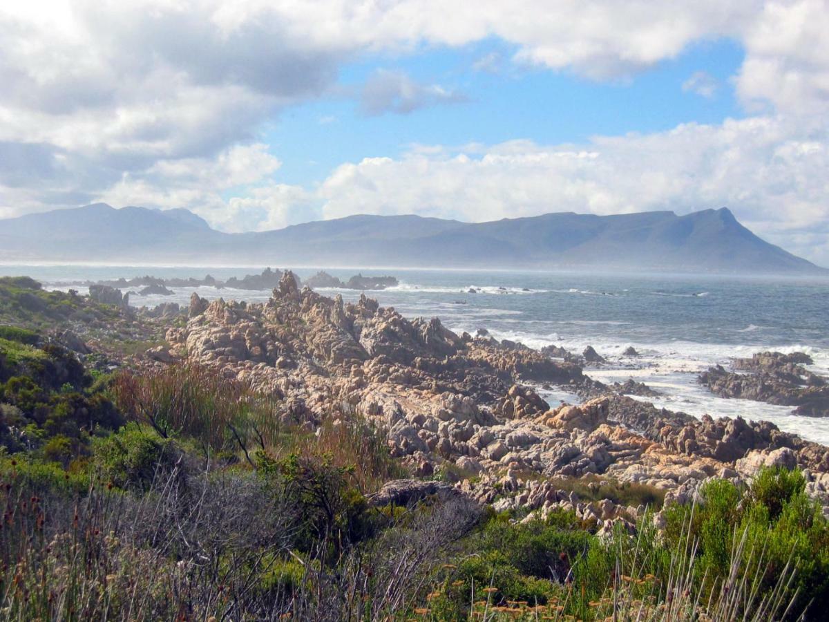 36 Df Strauss Street Apartment Kleinmond ภายนอก รูปภาพ